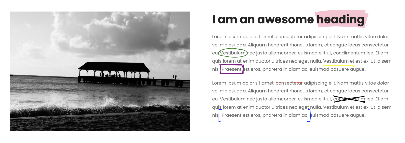 How to animate notations on scroll using RoughNotation.js in Bricks