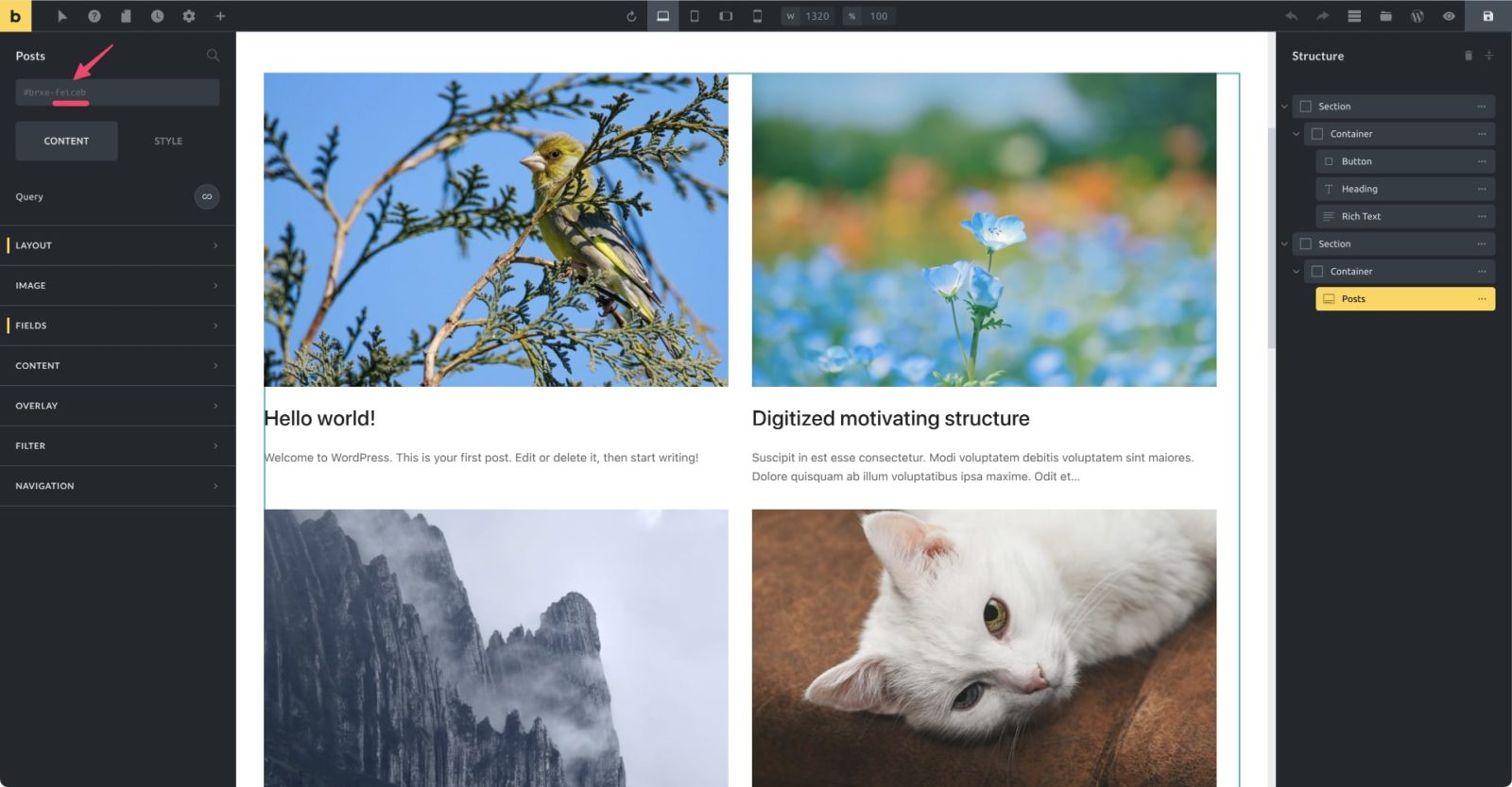 Prefiltering Posts for customizing Query in Bricks