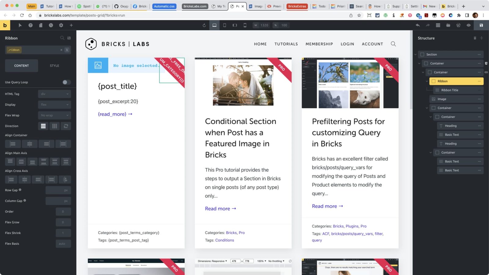 “Pro” Category Ribbon for Posts in Bricks