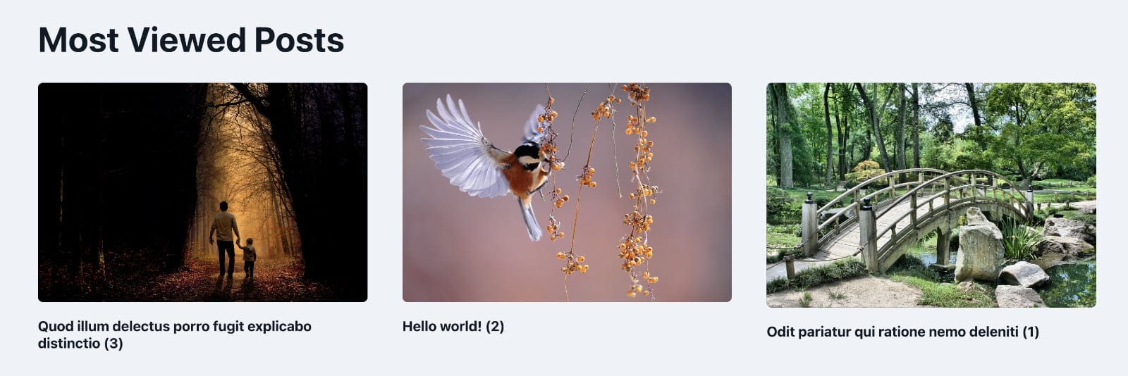 Post Views Counter Query Loop in Bricks