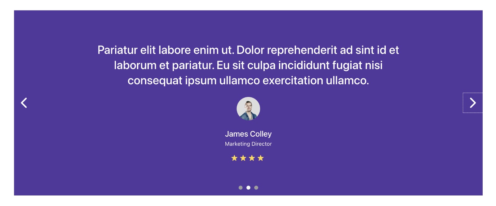 Testimonials Slider in Bricks